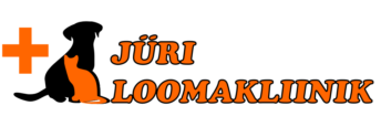 cropped logo 1000 4.png